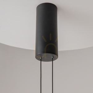 EVOLUTION pendant lamp MOD396PL-L10GR3K Maytoni small 5