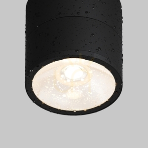 SPIN O310CL-L5GF3K outdoor plafonds IP54 Maytoni 4 SPIN O310CL-L5GF3K outdoor plafonds IP54 Maytoni small 4