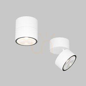 SPIN O310CL-L5W3K outdoor plafonds IP54 Maytoni 5 SPIN O310CL-L5W3K outdoor plafonds IP54 Maytoni small 5