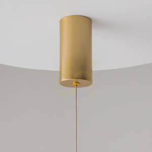 RAY pendant lamp P022PL-L20G3K Maytoni small 3