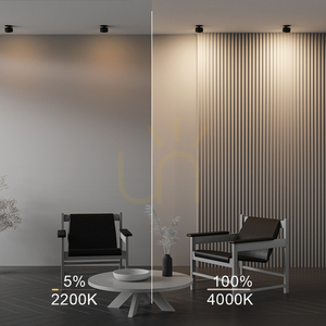 ONDA DL024-12W-DTW-B recessed luminaire Maytoni small 11