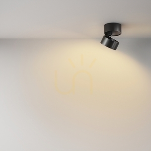 Plafond ONDA C024CL-12W2.7K-B-1 Maytoni small 4