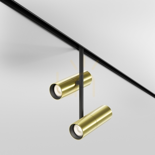 Check ELTI DUO busbar spotlight TR005-2-2X12W3K-BBS Maytoni