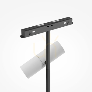 ELTI DUO busbar spotlight TR005-2-2X12W3K-BW Maytoni small 5