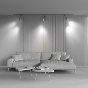 ELTI DUO busbar spotlight TR005-2-2X12W3K-BW Maytoni small 9