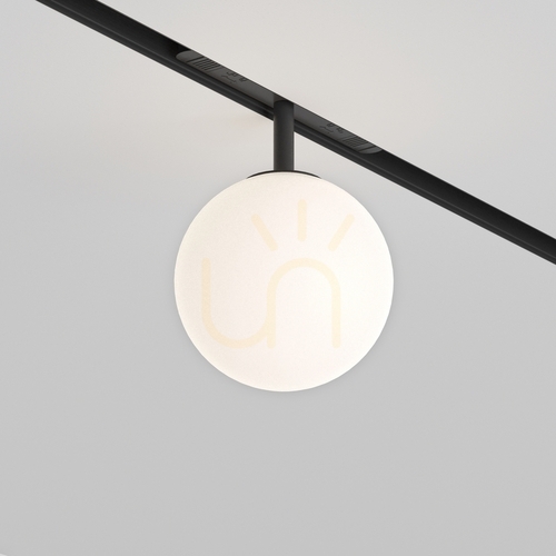 Check LUNA rail lamp TR038-4-5WTW-DD2-B Maytoni