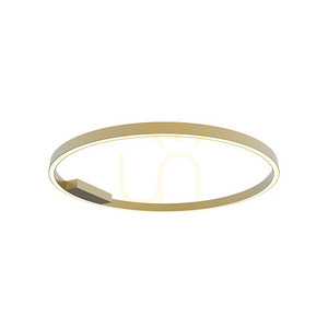 Zambelis 23026 LED Ring Ceiling Light Ø80 cm 50W 3000K Matt Gold, Dimmable small 1