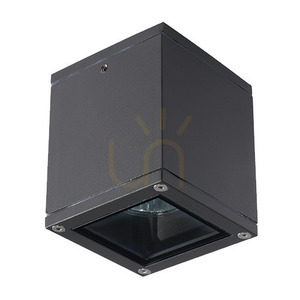 Outdoor Ceiling Lights Xgu10 Graphite ZAMBELIS small 1