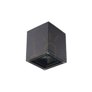 Outdoor Ceiling Lights Xgu10 Graphite ZAMBELIS small 3