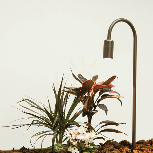 Check Outdoor Spike Light LED 6W Dark Brown Zambelis 60 cm IP65