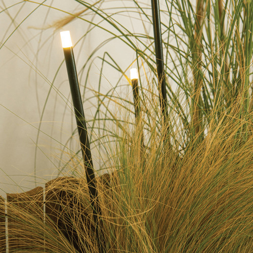Check Zambelis Outdoor Spike Light LED 1W 2700K Dark Green Stainless Steel