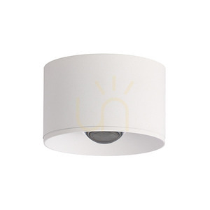 Ceiling Spot LED 8W White ZAMBELIS small 1