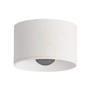 Ceiling Spot LED 8W White ZAMBELIS small 0