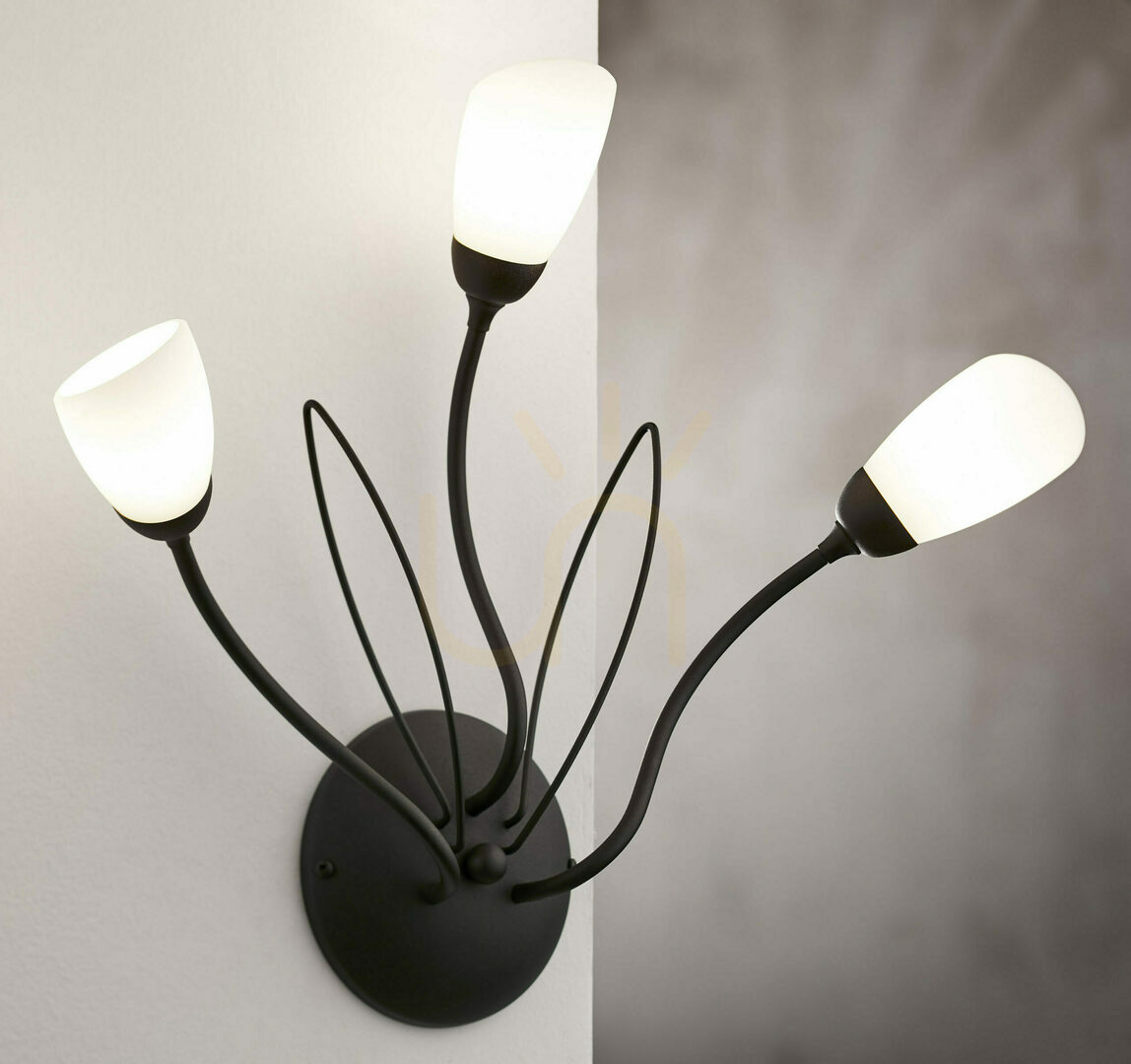 Wall lamp GLORIOSA Black 3xG9/14W