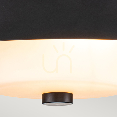 Check Bowtie Bathroom Flush Ceiling Light IP44 - 2 Lights - Matte Black Elstead