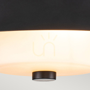 Bowtie Bathroom Flush Ceiling Light IP44 - 2 Lights - Matte Black Elstead small 2