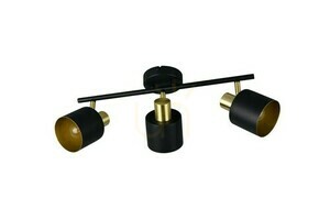 Trio EVA Plafond 868800380 small 2
