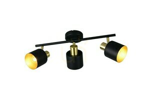 Trio EVA Plafond 868800380 small 0