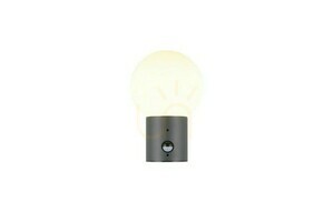 Trio MURES outdoor wall lamp 269869142 small 1