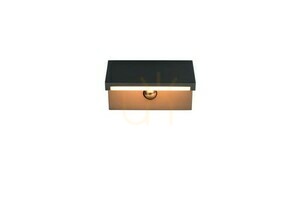 Trio RAVI outdoor wall lamp 238669142 small 3
