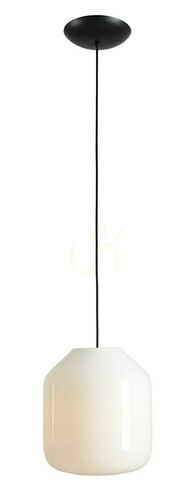 Check Pendant Light Aldex Flask Orchid L Metal Glass 27 cm 8500G1_L