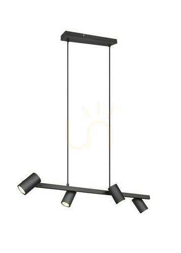 Check Trio VANTOS Pendant Lamp DL432302400.