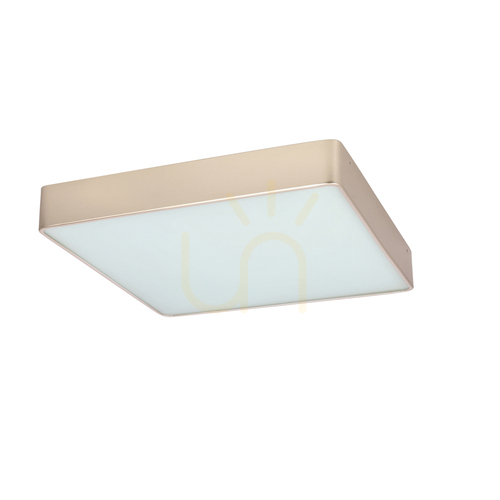 Check Quattro pearl LED 18W plafond CANDELLUX 10-31969