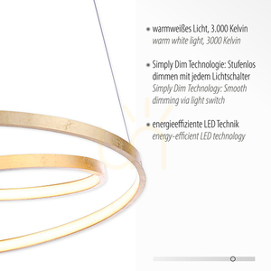 ROMAN Pendant Lamp 2472-12 Gold 1xLED 3 ROMAN Pendant Lamp 2472-12 Gold 1xLED small 3