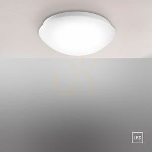 Paul Neuhaus / JUST LIGHT Andrea-LED 14243-16 white ceiling light Ø24.5 cm LED 8W 3000K small 8