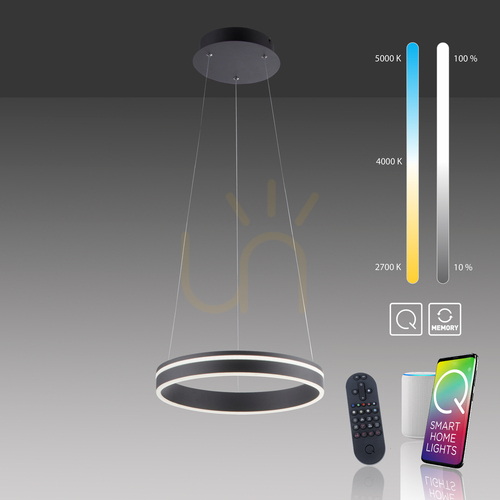 Check Q-VITO 8410-13 Anthracite 1xLED Pendant Lamp