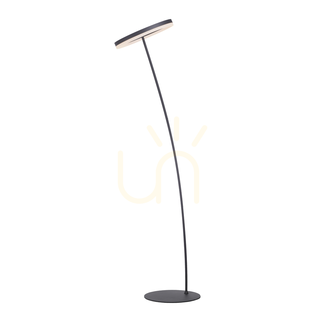 Check TITUS 381-13 Anthracite 1xLED Floor Lamp TITUS 381-13 Anthracite 1xLED Floor Lamp