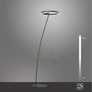 TITUS 381-13 Anthracite 1xLED Floor Lamp 11 TITUS 381-13 Anthracite 1xLED Floor Lamp small 11