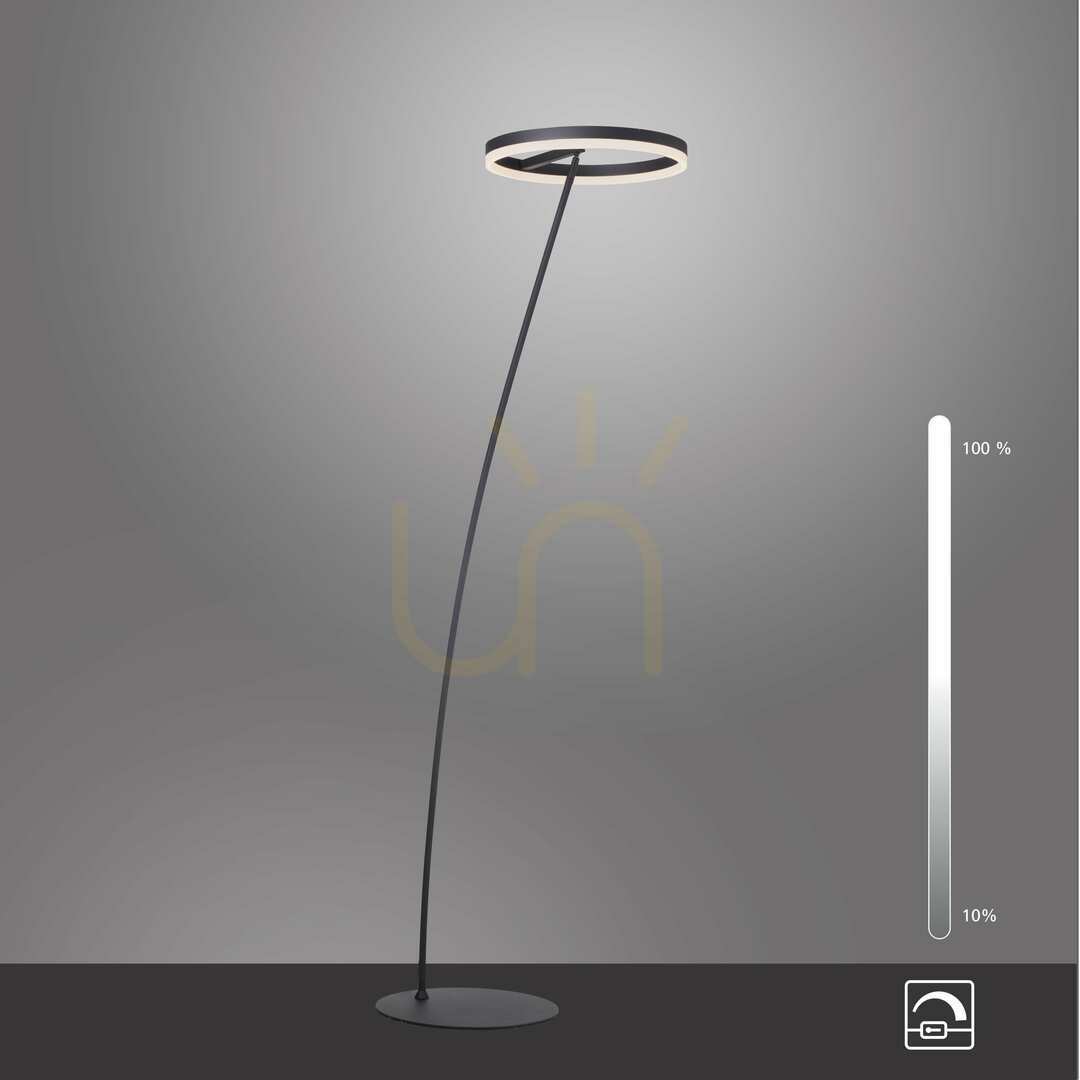 View TITUS 381-13 Anthracite 1xLED Floor Lamp TITUS 381-13 Anthracite 1xLED Floor Lamp