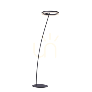TITUS 381-13 Anthracite 1xLED Floor Lamp 12 TITUS 381-13 Anthracite 1xLED Floor Lamp small 12