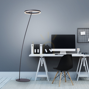TITUS 381-13 Anthracite 1xLED Floor Lamp 2 TITUS 381-13 Anthracite 1xLED Floor Lamp small 2