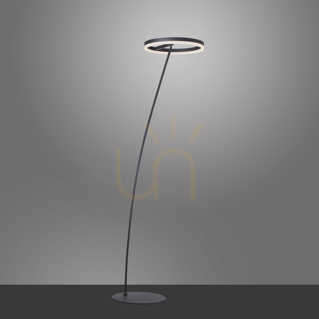 Show TITUS 381-13 Anthracite 1xLED Floor Lamp TITUS 381-13 Anthracite 1xLED Floor Lamp