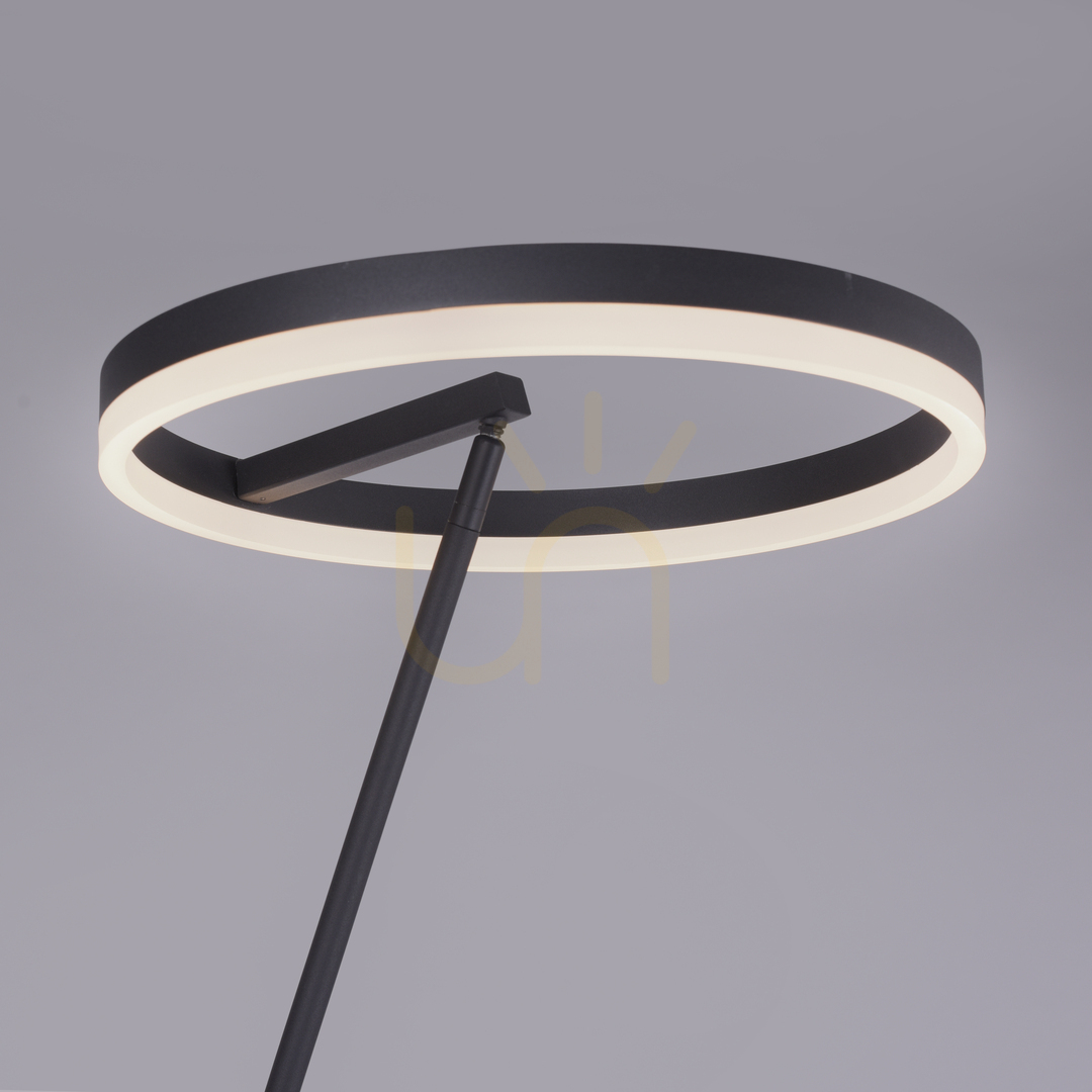 Display TITUS 381-13 Anthracite 1xLED Floor Lamp TITUS 381-13 Anthracite 1xLED Floor Lamp