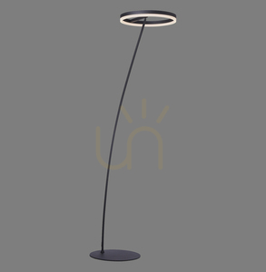 TITUS 381-13 Anthracite 1xLED Floor Lamp 0 TITUS 381-13 Anthracite 1xLED Floor Lamp small 0