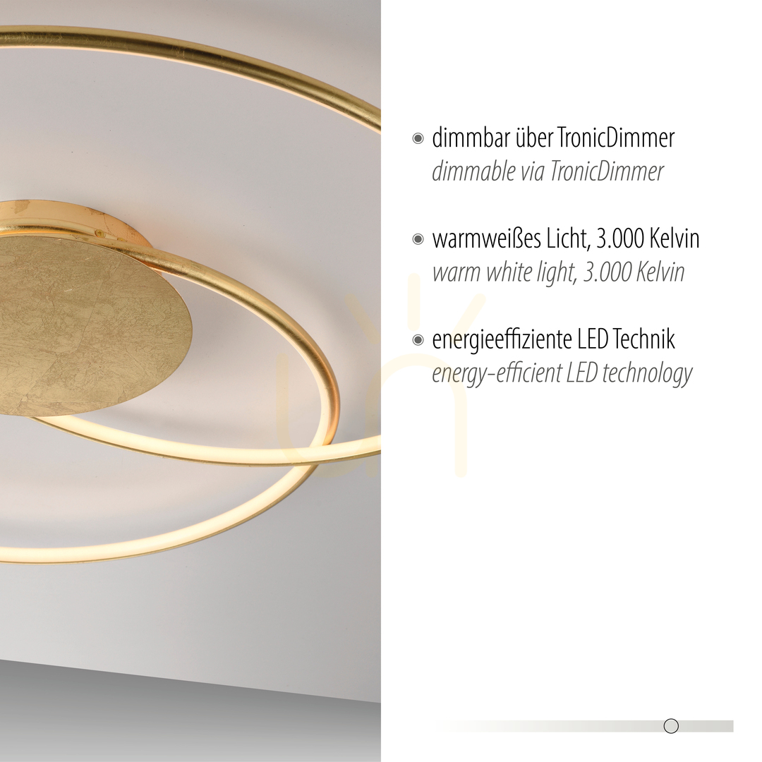 Display NASTRO Plafond 6189-12 Gold 1xLED NASTRO Plafond 6189-12 Gold 1xLED