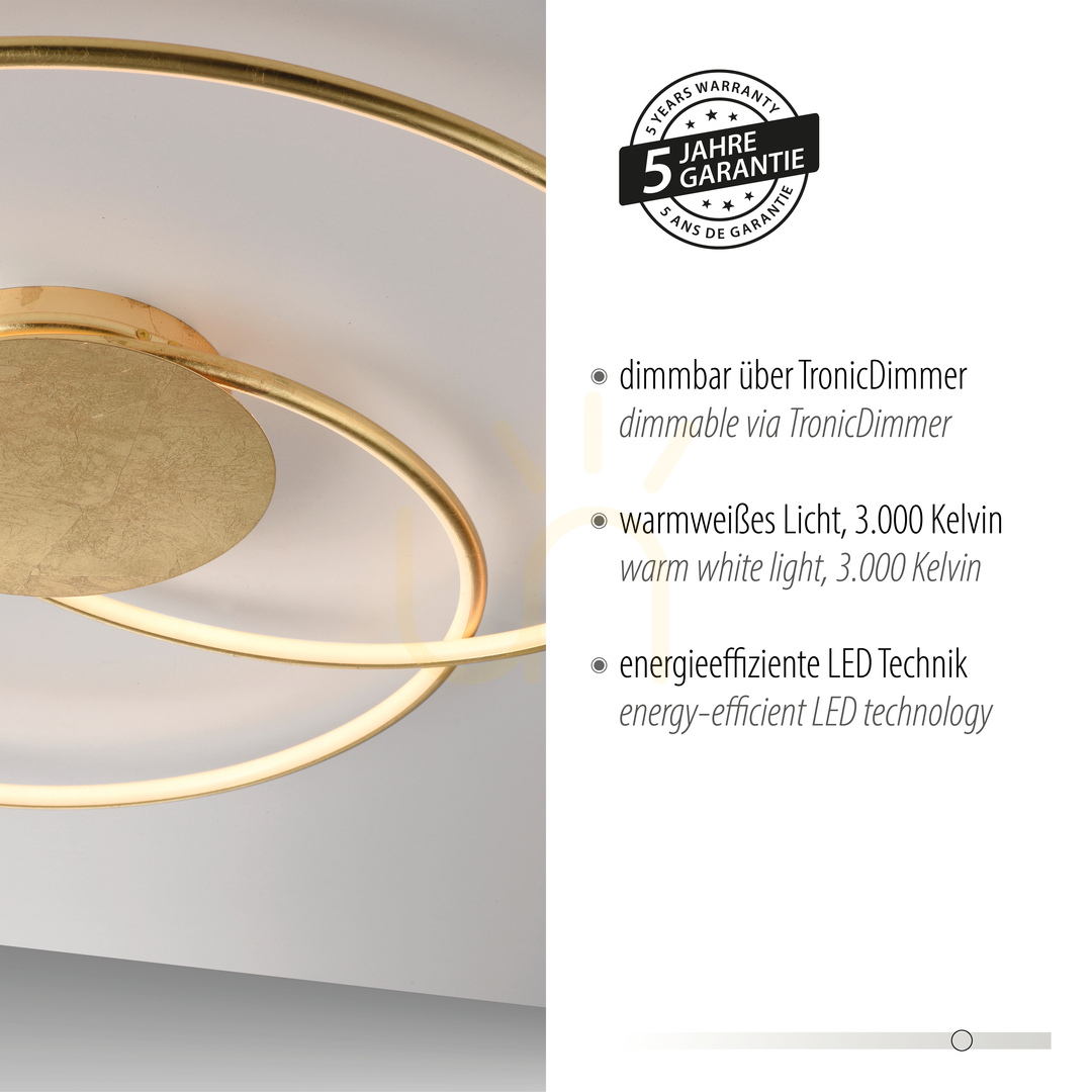 Show NASTRO Plafond 6189-12 Gold 1xLED NASTRO Plafond 6189-12 Gold 1xLED