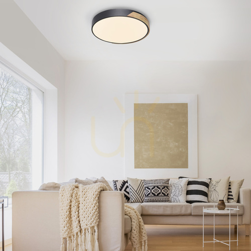 Check Ceiling and wall light Paul Neuhaus Q-Bila 6071-18, CCT ZigBee