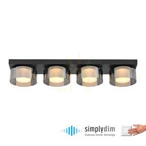 Plafond RIKA 6164-18 Black 4xLED small 1