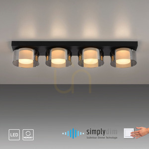 Plafond RIKA 6164-18 Black 4xLED small 11