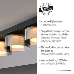 Plafond RIKA 6164-18 Black 4xLED small 4