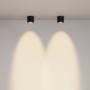 Plafond LENS C217CL-15W3K-B IP44 Maytoni 4 Plafond LENS C217CL-15W3K-B IP44 Maytoni small 4