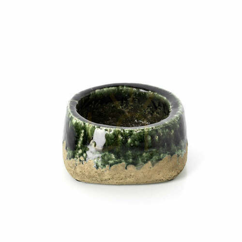 Check Concrete Green Moss Bowl Planter Low 16.5 cm Handmade Pot