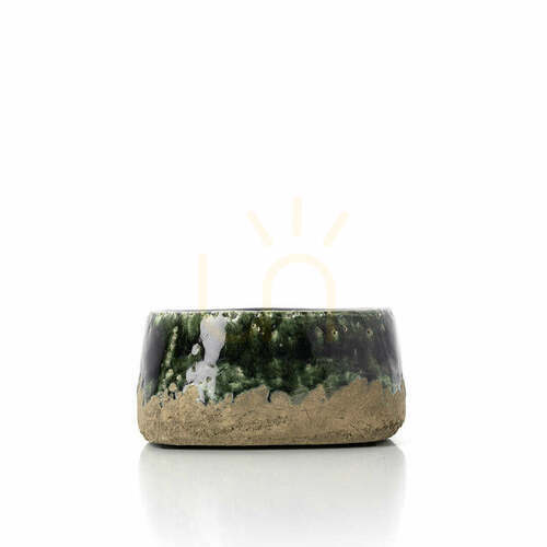 Check Concrete Green Moss Bowl Planter Low 16.5 cm Handmade Pot