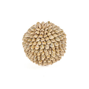 Bazar Bizar Oluolu Shell Ball M decorative ball, Ø 11 cm, white small 3
