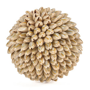 Bazar Bizar Oluolu Shell Ball M decorative ball, Ø 11 cm, white small 8