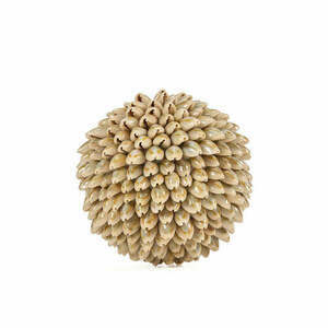 Bazar Bizar Oluolu Shell Ball M decorative ball, Ø 11 cm, white small 0